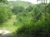 Residential lot For Sale in Anchovy, St. James Jamaica | [4]