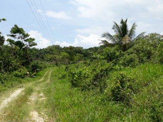 Commercial/farm land For Sale in BURNT GROUND, Hanover Jamaica | [3]