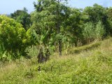 Residential lot For Sale in Grange Hill aka Long Road, Portland Jamaica | [2]