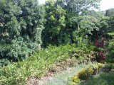 House For Sale in Ramble Union Hill, St. Mary Jamaica | [10]