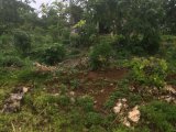 Residential lot For Sale in Balaclava, St. Elizabeth Jamaica | [9]