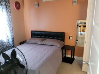 Apartment For Rent in New Kingston, Kingston / St. Andrew Jamaica | [6]