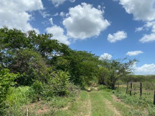 Residential lot For Sale in Bushy Park, St. Catherine, Jamaica