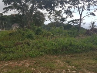 Residential lot For Sale in Red Hills, Kingston / St. Andrew Jamaica | [1]