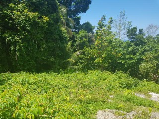  For Sale in Bluefields, Westmoreland Jamaica | [1]